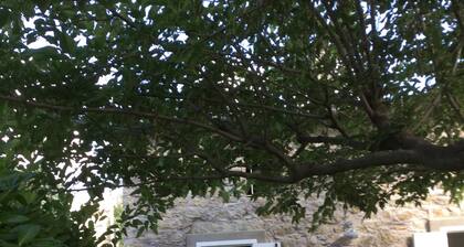Detached stone house - air-conditioned - shady garden (sleeps 2)