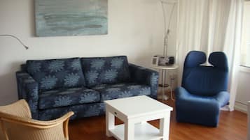 TV, DVD player, books, music library