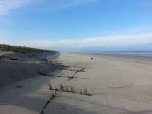 Beach nearby - Ameland - apartment with balcony to the south side with a view of meadows and the village of Buren (Buren)