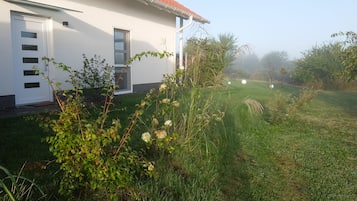 Dettaglio esterni