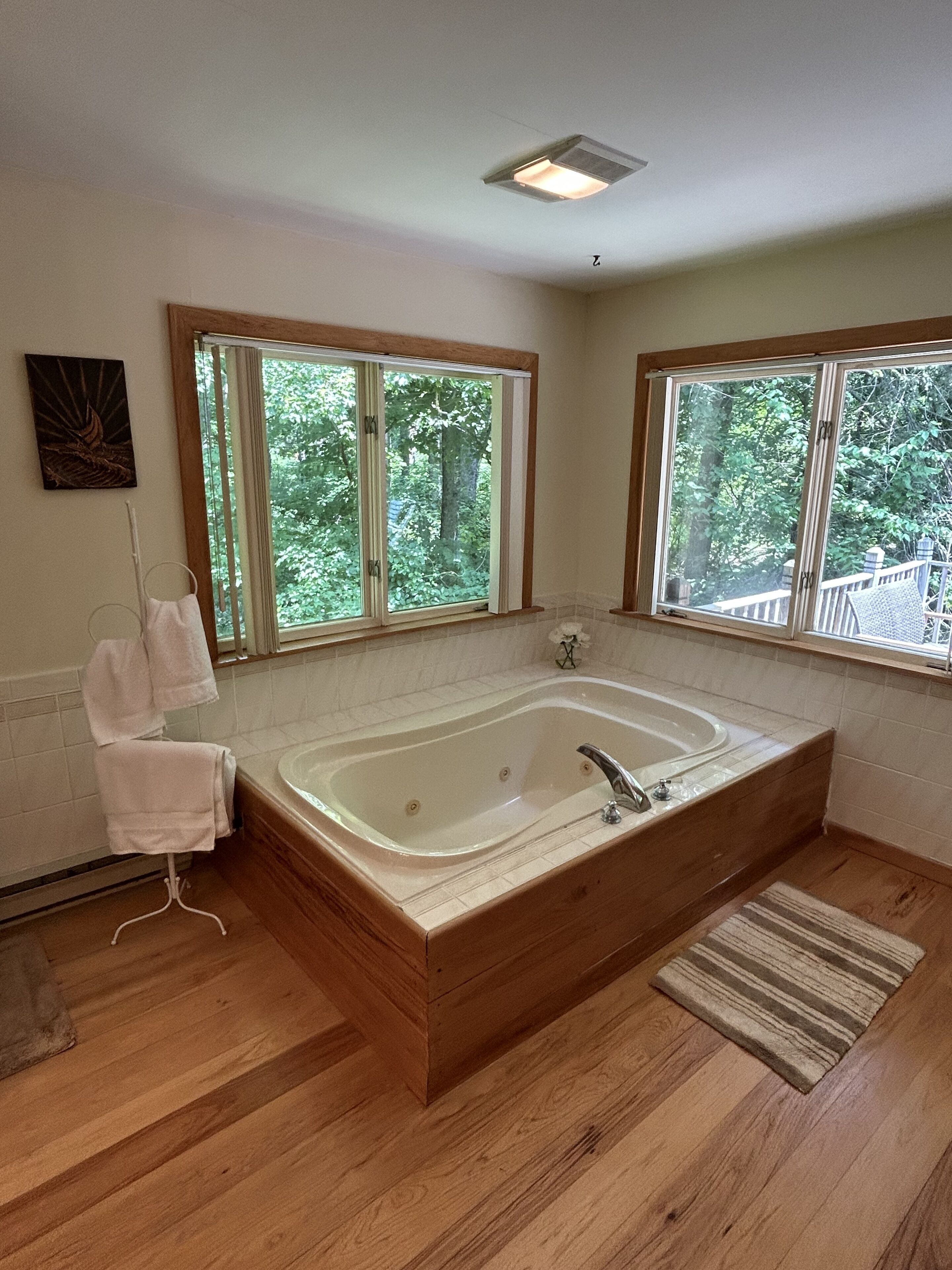 Jetted tub for two with forest views