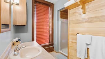 Regadera, secadora de cabello, toallas, jabón