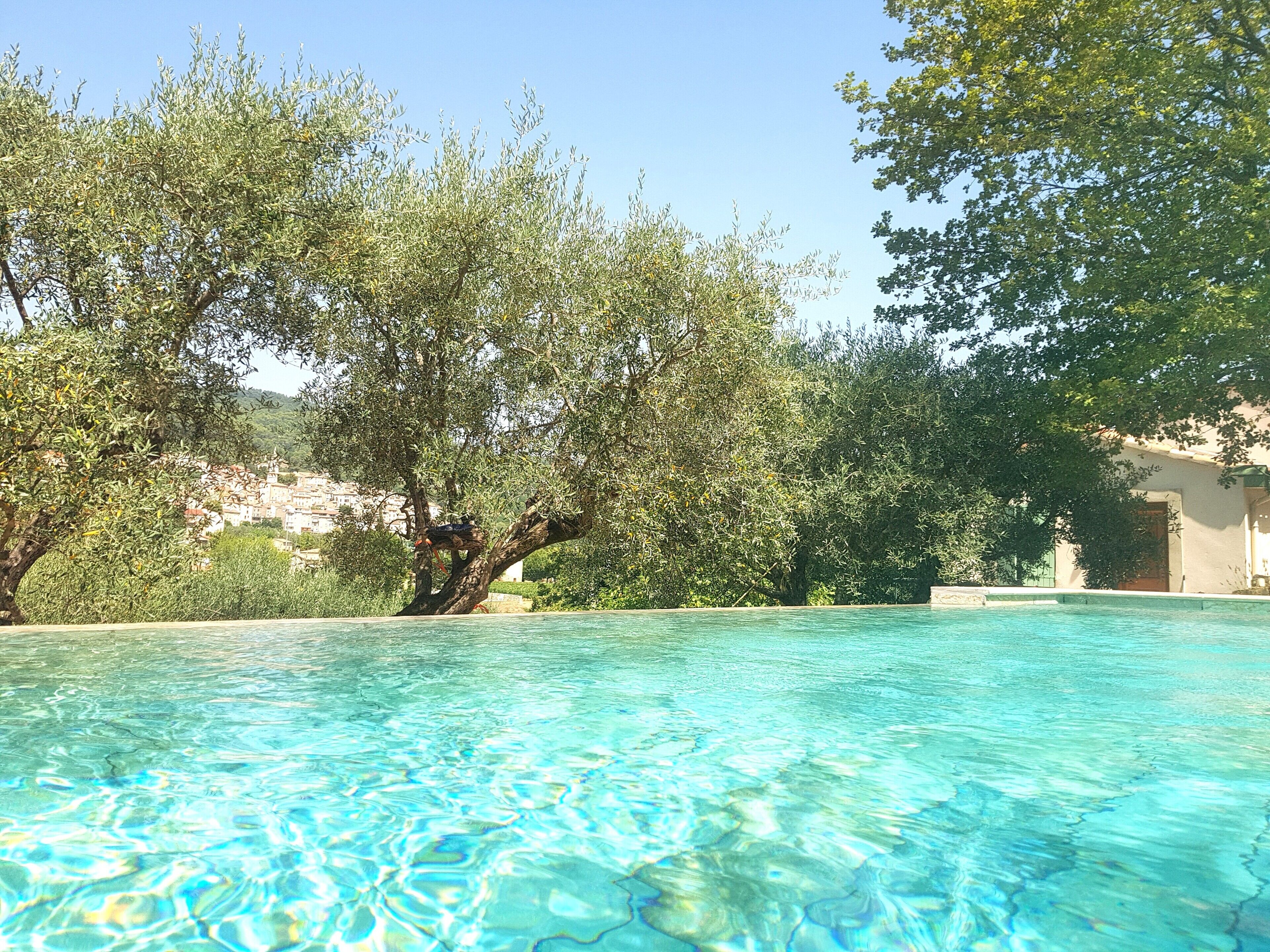 Una piscina nítida amb vista a una zona arbrada i edificis a la distància.