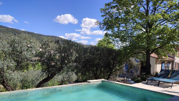 A rectangular pool with clear blue water, surrounded by a tiled deck. There are two lounge chairs and a small table under a tree. - La Bastide des Oliviers.charming villa in a peaceful setting with swimming pool
 (callas)
