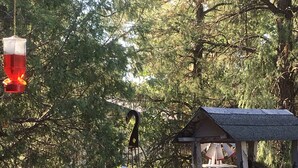 A wooden deck with a metal table, a hanging bird feeder, and a birdhouse. - Rim Country Living in the heart of Arizona (Payson)