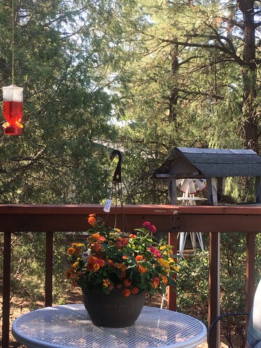 Rim Country Living in the heart of Arizona