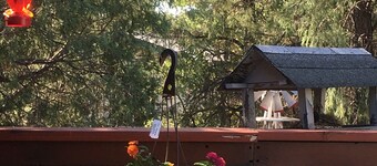 Rim Country Living in the heart of Arizona