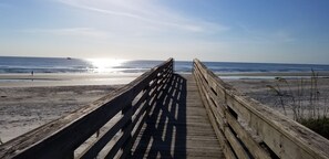 Playa en los alrededores y camastros 