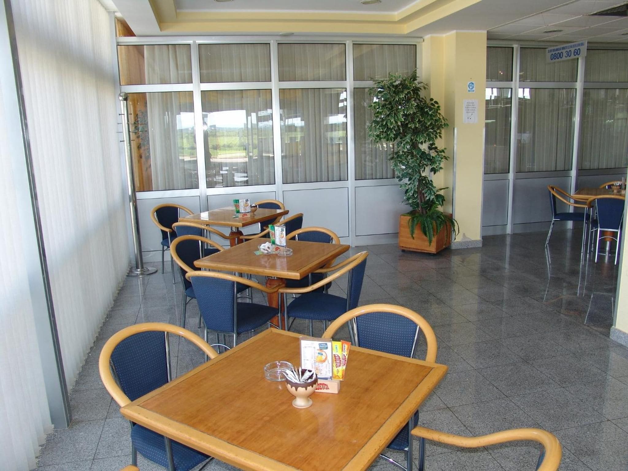 Un área de comedor con mesas y sillas, una planta en maceta y una ventana con persianas.