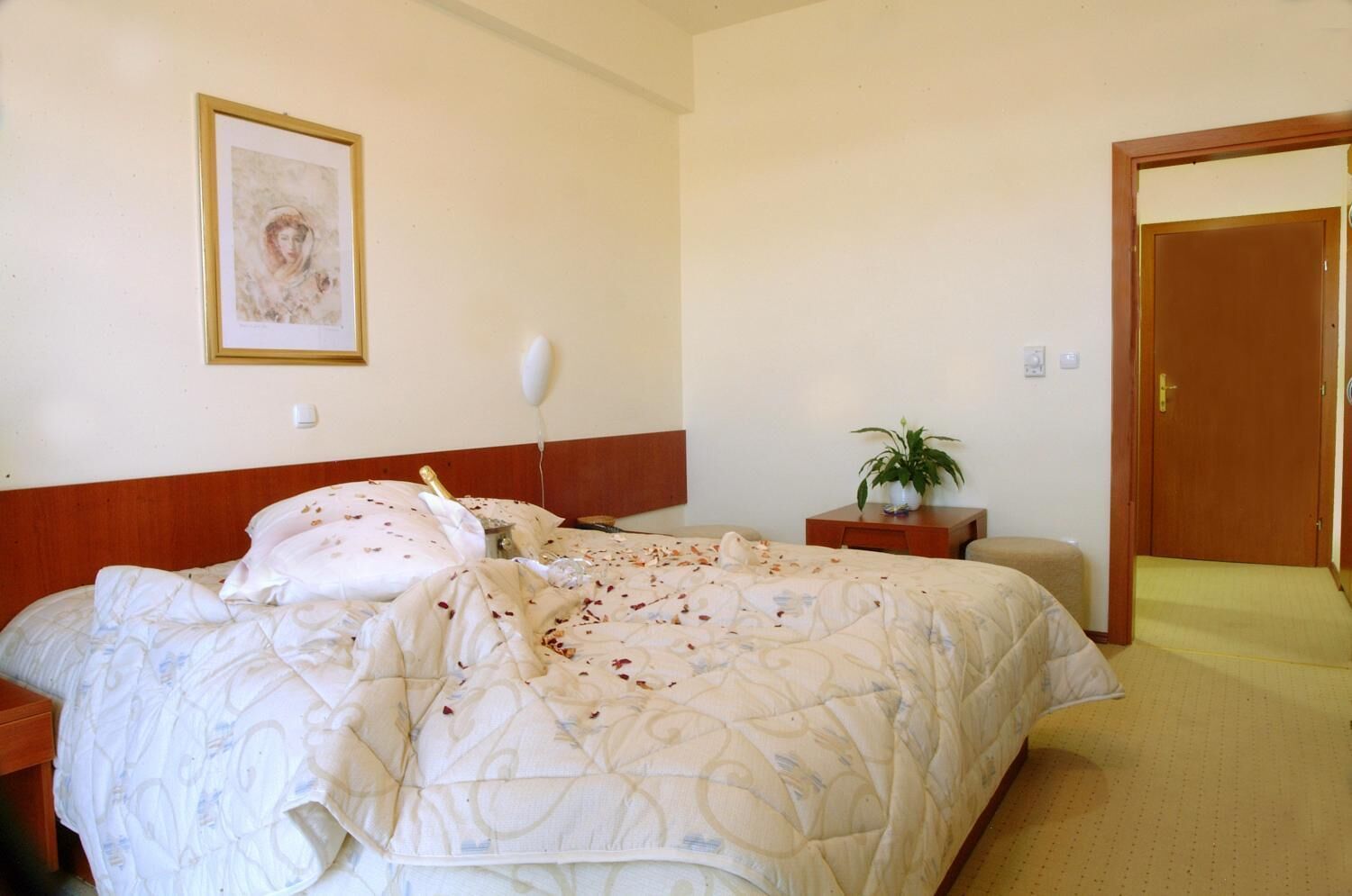 Habitación de hotel con una cama grande, una mesita de noche, una mesita de noche más pequeña con una planta y una puerta.