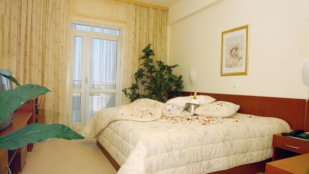 A hotel room with a large bed, a bedside table with a lamp, a window with curtains, and a potted plant. - Hotel Zovko (Sibinj)