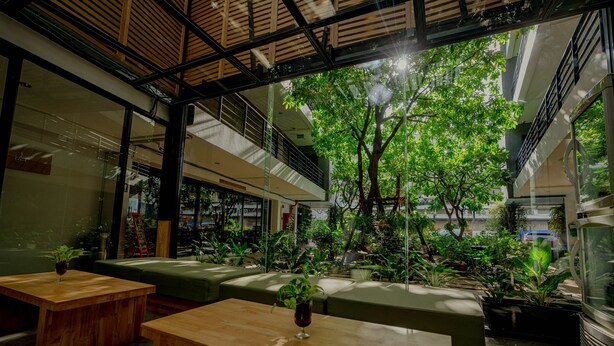 Un espacio interior amplio con mesas de madera y asientos verdes, rodeado de plantas en macetas y un árbol grande.