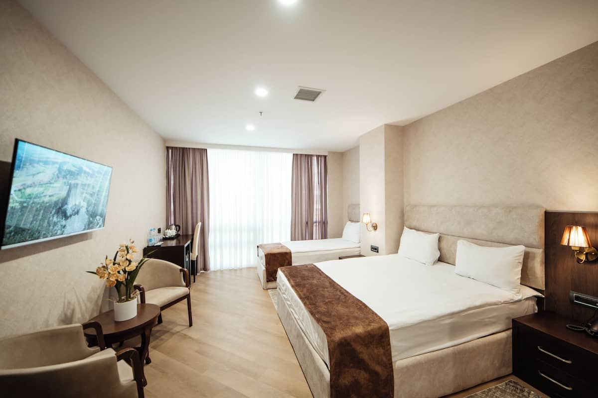 A hotel room with a large bed, a desk, a chair, a TV, and a window with curtains.
