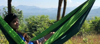 Canary Forest Camping