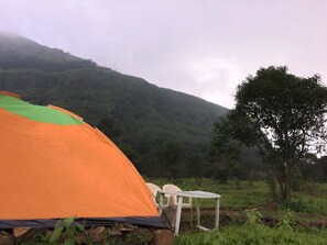 Vườn