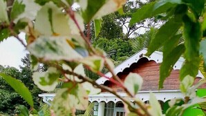Panoramic Cottage, 1 King Bed, Non Smoking | Balcony - Comfort Cottages (Vieille Case)