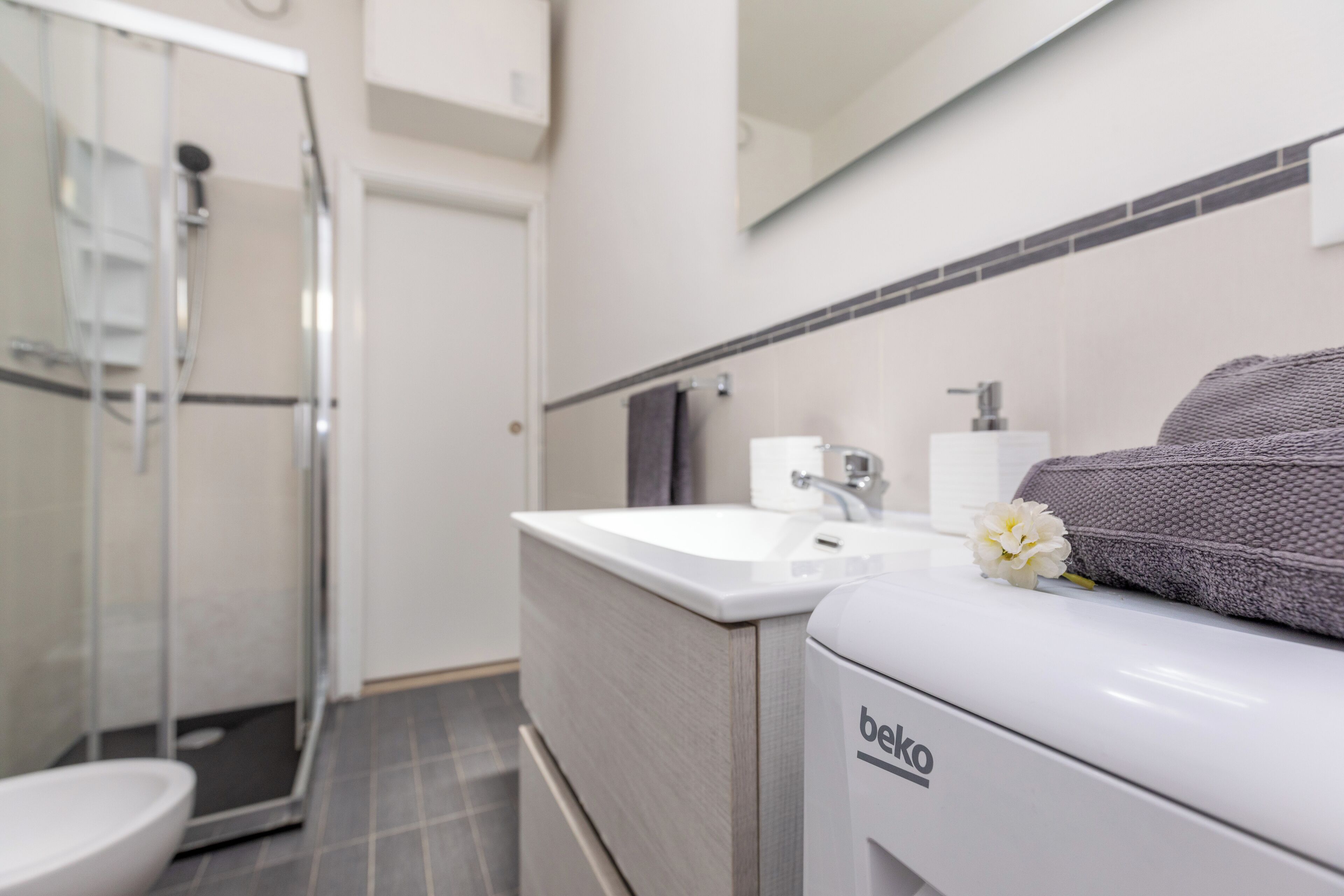 Shower, hair dryer, bidet, towels