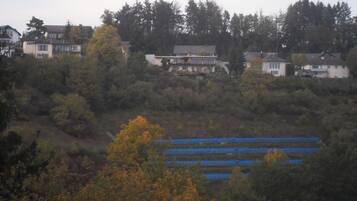 A residential area with houses, dense trees, and blue tarps on the ground.