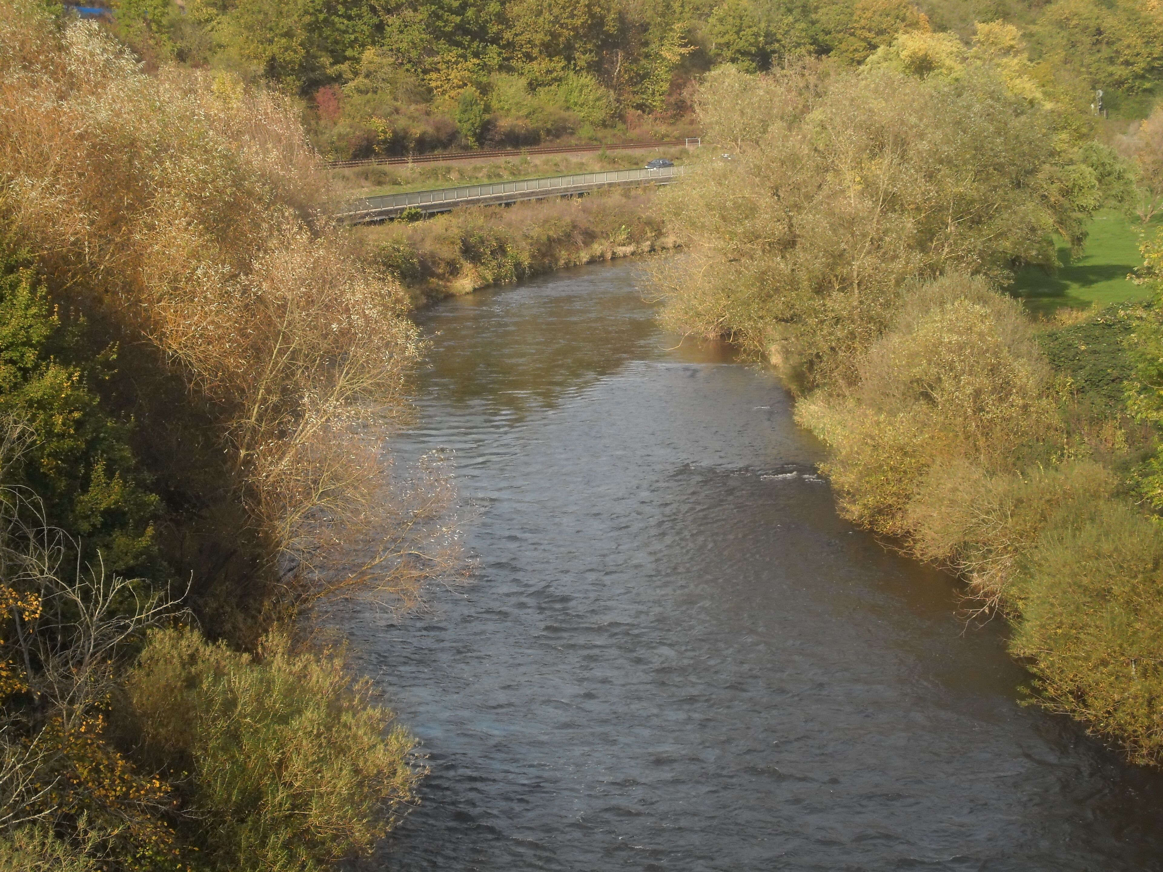 Ein Fluss fließt durch ein bewaldetes Gebiet, im Hintergrund eine Brücke.