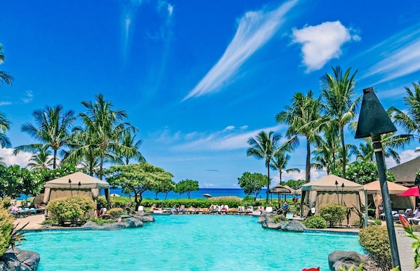 Piscine chauffée