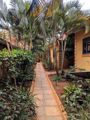 Basic Double Room | Garden view