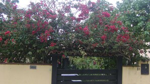 A black gate with a decorative top, a yellow wall, and a red flowering bush. - Beautiful and Comfortable House for up to 15 People in Arraial do Cabo (Location: Vacation Rental) (Arraial do Cabo)