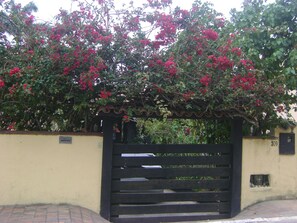 Property grounds - Colonial style house with pool - 4 suites (Arraial do Cabo)