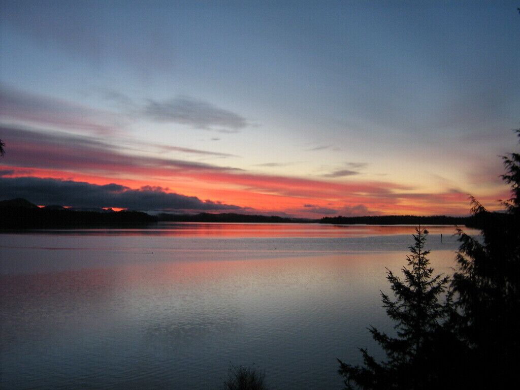 Chaises longues, serviettes de plage