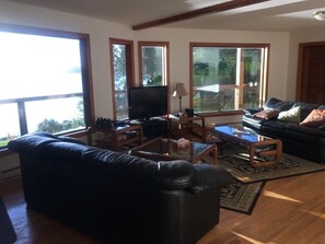 Smart TV, fireplace, books