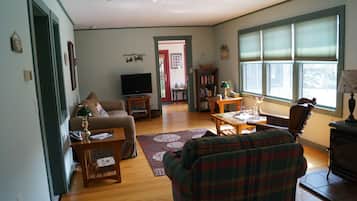 TV connectée, cheminée, lecteur de DVD, livres
