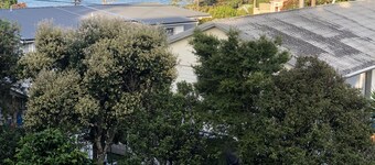 Algies Bay holiday home