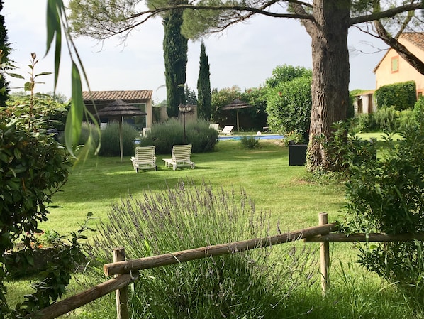 Property grounds - Lovely 2 to 4 person rental, private pool 5000m2, 12km from Avignon (Saint-Saturnin-Lès-Avignon)