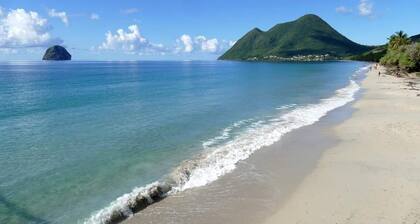 pool, 100 m from the beach, sea, relaxation and standing facing Diamond Rock