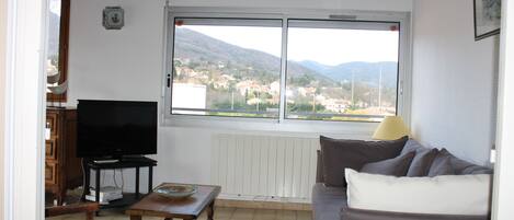 Fernseher, DVD-Player, Bücher, Videothek