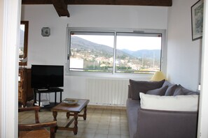 Télévision, lecteur de DVD, livres, vidéothèque