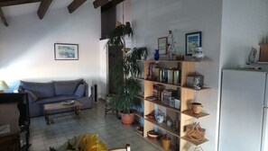 Télévision, lecteur de DVD, livres, vidéothèque