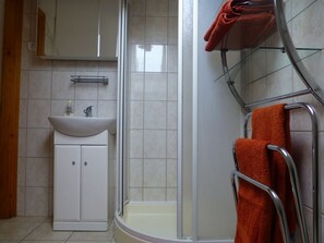 Bathroom features a corner shower, sink, and mirror.