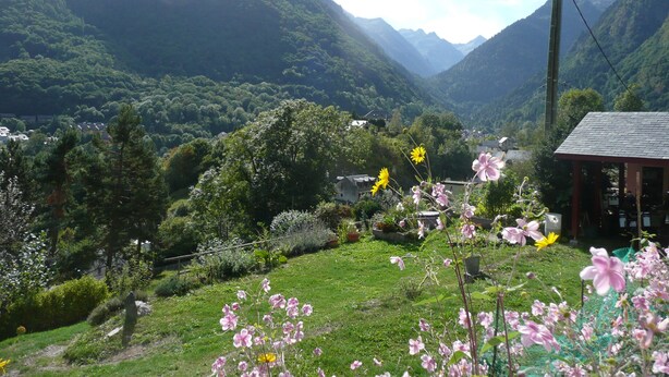 Un paysage montagneux avec un petit bâtiment entouré de verdure et de fleurs.