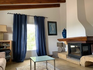 Fireplace, ping pong, books