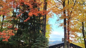 A cabin with a gravel driveway, surrounded by autumn foliage.