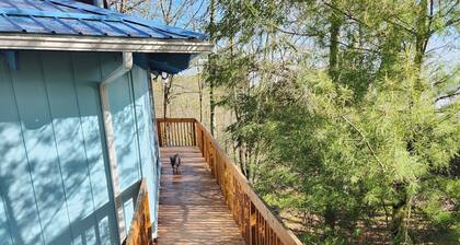 HĂȘtre Bum Montagne juridique Retreat