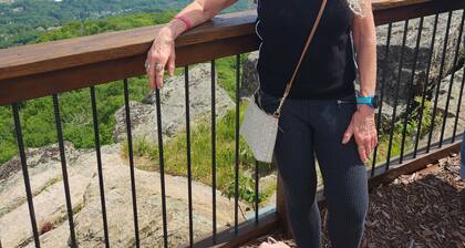 Legal Beech Bum Mountain Legal Retreat