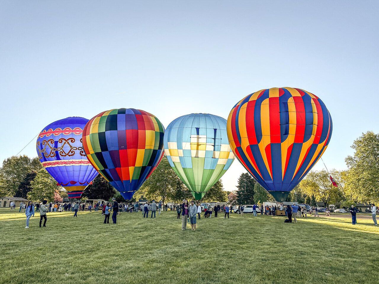 A field with several colorful hot air balloons.