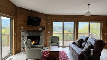 Smart TV, fireplace, books, stereo