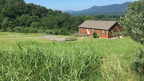 A red wooden house with a porch, surrounded by a grassy field and dense forest, with mountains in the background.