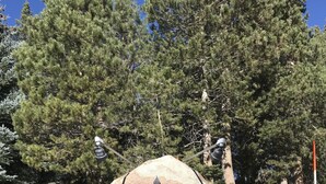 A large rock with the text "FOREST CREEK 354 & 384" and a mountain silhouette. - Forest Creek #3, Pet accepted (Mammoth Lakes)
