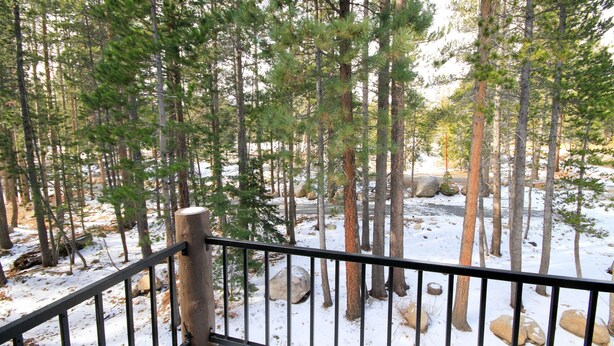 A forested area with a wooden railing, snow-covered ground, and trees. - Forest Creek #3, Pet accepted (Mammoth Lakes)