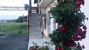 Ảnh chưa phân loại, 4 trong số 64 ảnh, nút