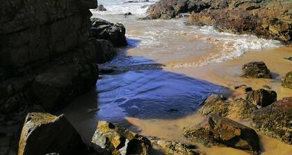 Sapphire Beach - Pet Friendly - 5 Gehminuten zum Strand