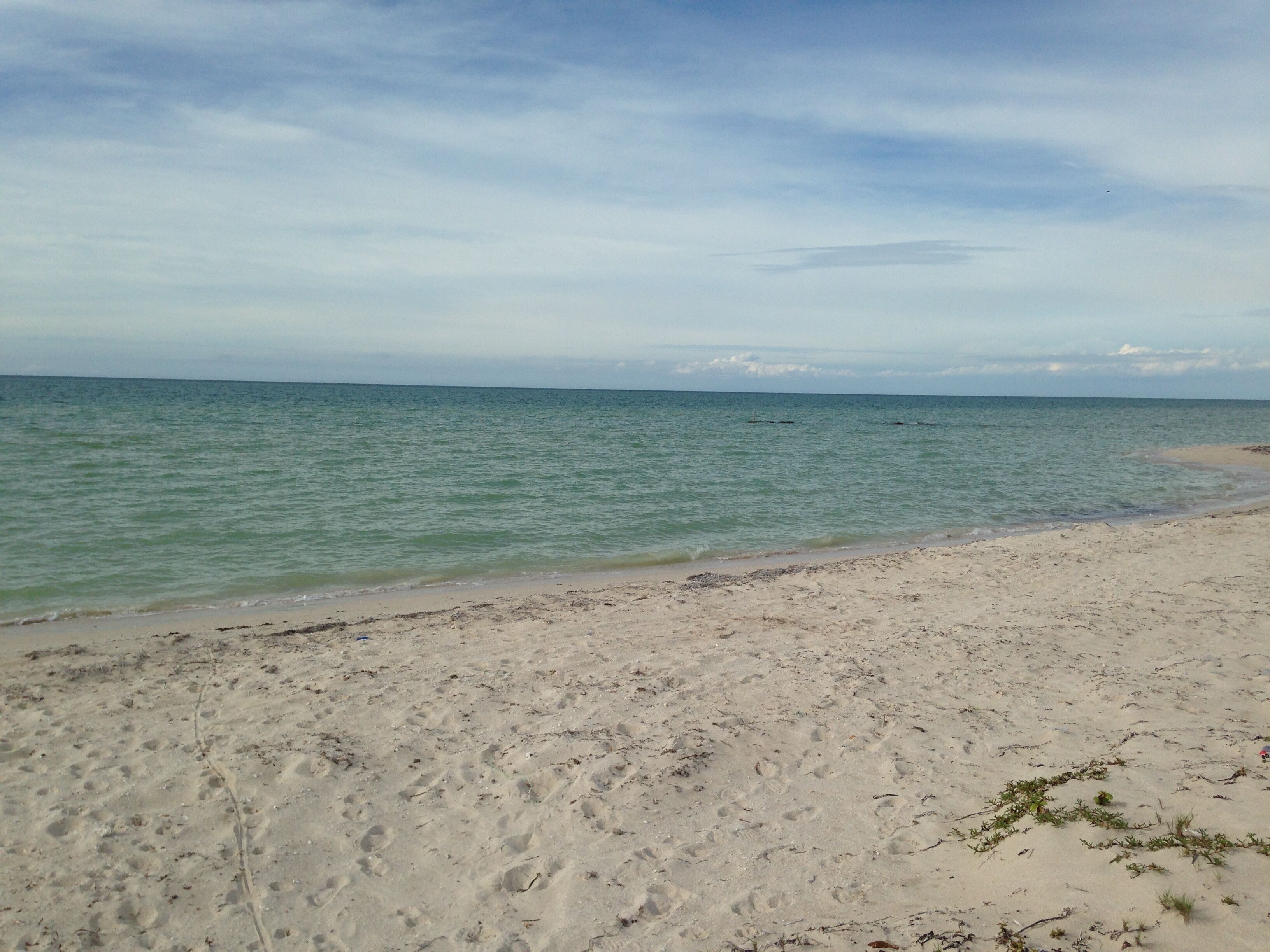 On the beach